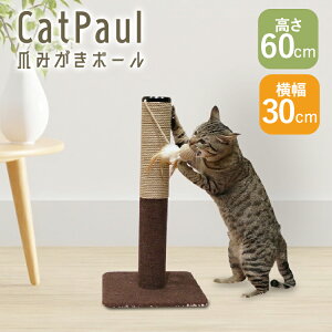 爪とぎ 爪研ぎ おもちゃ ポール 猫 モダンルーム 爪みがきポール 84190爪みがき 猫 爪とぎ ポール おもちゃ コンパクト ネコ 爪みがき ねこ キャティーマン