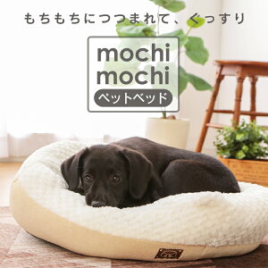 y~Acizybgxbh  L ybg h[ ӂӂ ʔN t  t ybgxbh ӂӂ h[ g ^ ~p ybgp xbh Jh[ h[ nEX \t@ NbV