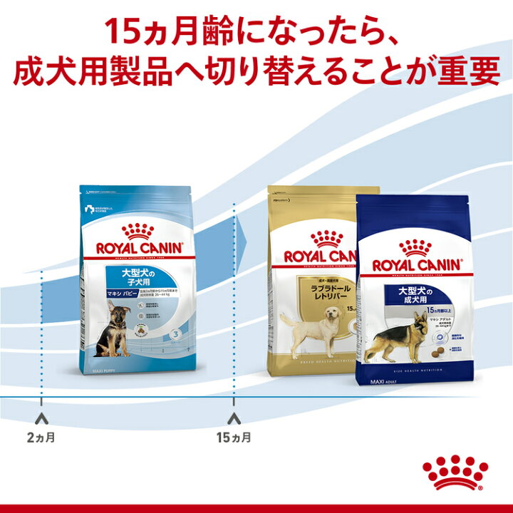 楽天市場】ロイヤルカナン プレミアムフード マキシ パピー 15kg 犬 