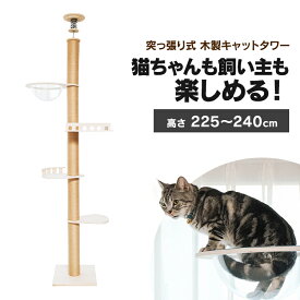 キャットタワー キャットハウス つっぱり式 突張式アスレチックタワー バルコニー 1011103004爪とぎ 多頭飼い 省スペース バルコニー付き アクリルボール 猫ハウス 木製