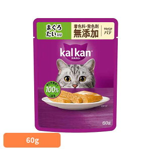 Lbgt[h JJ pE` 炩pe 60g 1΁`7 Lp h{H ܂  Ƃ肳 قĂ  F F Y Nێ EFbgt[h pE`^Cv Lt