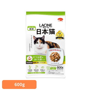 V[l{L600g 1011072 {ybgt[h FY btďC Lbgt[h {ybgt[h