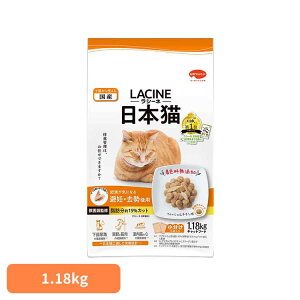 V[l{LDEp1.18kg 1011313 {ybgt[h FY btďC Lbgt[h {ybgt[h