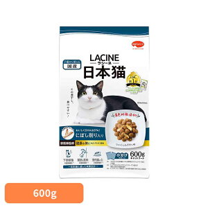 V[l{Lɂڂ600g 1011314 {ybgt[h FY btďC Lbgt[h {ybgt[h