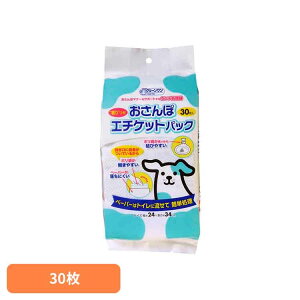 N[@ۃG`PbgpbN30 2790072 qpi tpi  E` gC }i[   V[YCVn