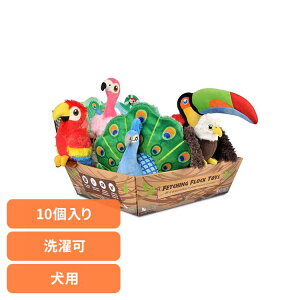 tFb`OtbNBOXZbgi10j p ybgp pʂ V vȂ  Ɋ΂ v[g i fUC [