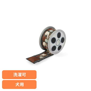 z[[E[tVl} [r[tB p ybgp pʂ V vȂ  Ɋ΂ v[g i fUC [N