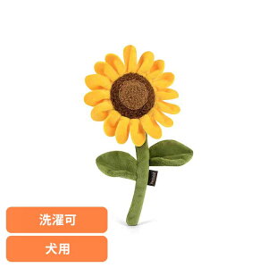 u[~OofB[Y Tt[ p ybgp pʂ V vȂ  Ɋ΂ v[g i fUC [N