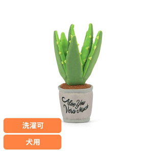 u[~OofB[Y AGvg p ybgp pʂ V vȂ  Ɋ΂ v[g i fUC [N