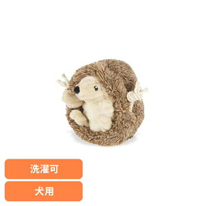 tHXgtY wbWzbO p ybgp pʂ V vȂ  Ɋ΂ v[g i fUC [N