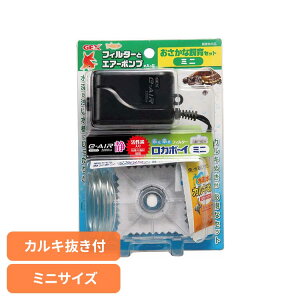 ���i�摜