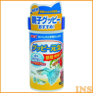 Obs[ ANAE Ϗ܋  a GT yObs[zObs[C ɐB 琬pt[h 52gyGTzWFbNX yTCz[LP]