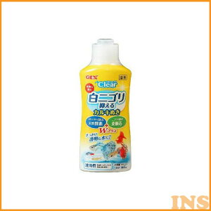   ANAE  JL yANAE JLzRCIt NA 300mly ւzWFbNX yTCz[LP]