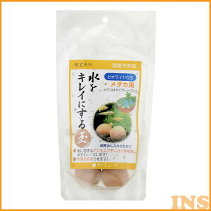 yő400~N[|ɂDAYzANAE  ꍻ _J ypz[ICg̋ _JpyANA ߂  򉻁zT~[Y yTCz[LP]