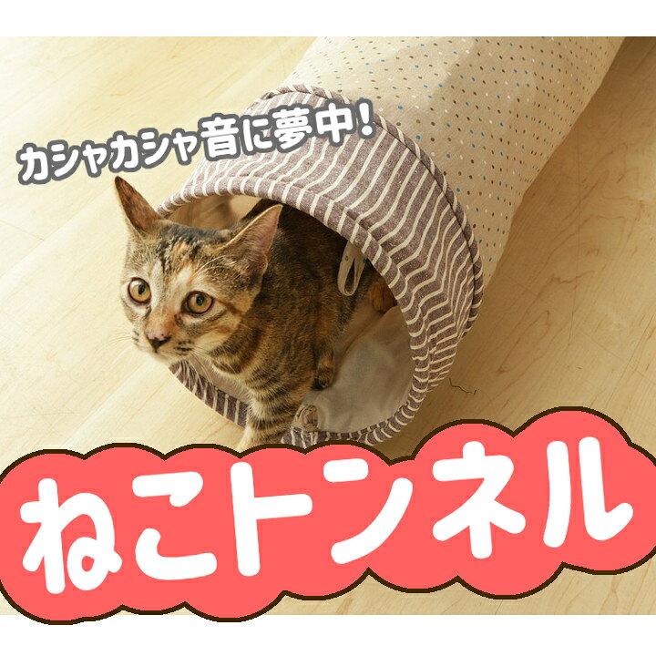 楽天市場 カシャカシャ キャットトンネル 猫 トンネル ネコ ねこ おもちゃ D 楽天 2019aw 快適ペットライフ