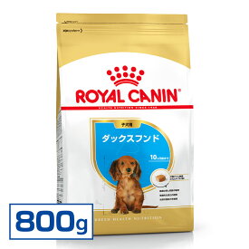 【最大400円クーポン！くらしにプラス】ロイヤルカナン ダックスフンド 子犬用 生後10ヶ月齢迄 パピー 800g【D】[3182550788113]