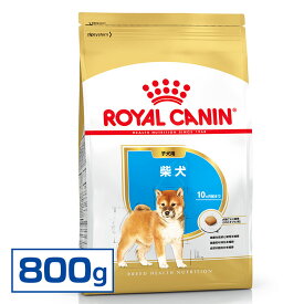 【最大200円クーポン！暑さ対策フェア】ロイヤルカナン 柴犬（子犬用）800g[ドッグフード ロイヤルカナン]【D】〔AA〕[3182550823937]【rcdb29】