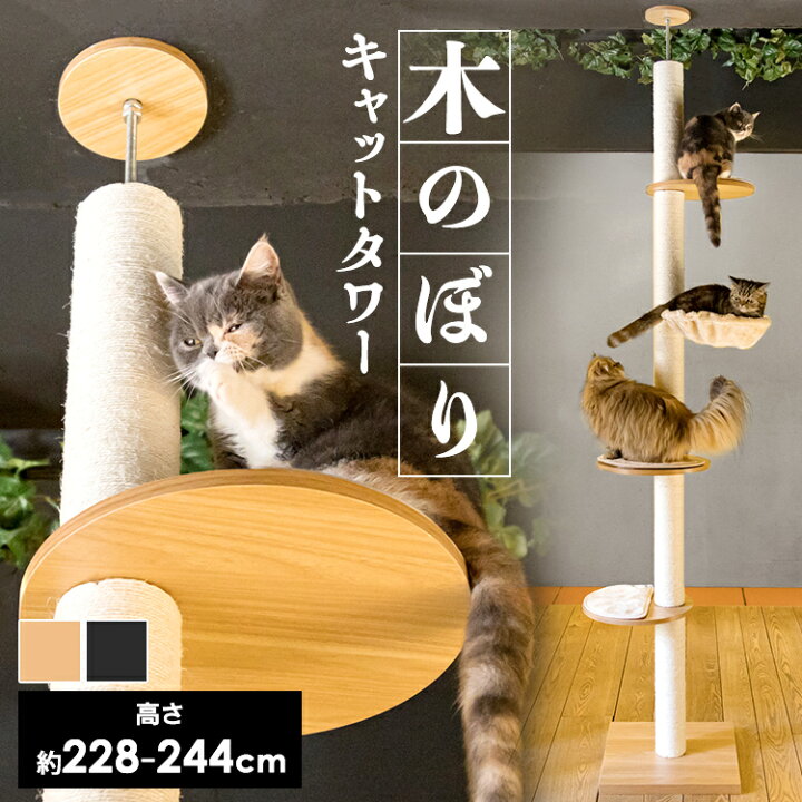 楽天市場 予約 キャットタワー 木製 突っ張り おしゃれ ハンモック付き スリム 省スペース 猫タワー 木 木登りキャットタワー Kcct 244 突っ張り 猫タワー おしゃれ キャットポール 猫ツリー 木製 省スペース 多頭飼い D 快適ペットライフ