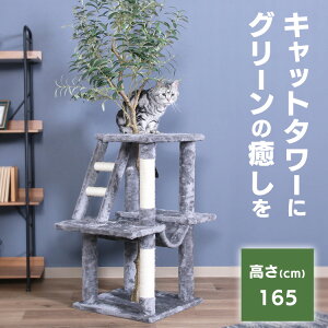 Lbg^[ Lpi ߂Ƃ ˂̋x } O[ 58205ybg ybgpi ˂ Lbg^[ ܂Ƃ|[ u^Cv nbN ܂Ƃ lR CeA yBz