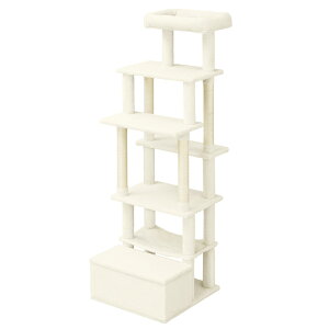 _Vi^Lbg^[  u 157.5 Xebv 5i ɂ x 芴 [t ꊪ ܂Ƃ nbN L^[  t@ubN k ^s Vя Lp