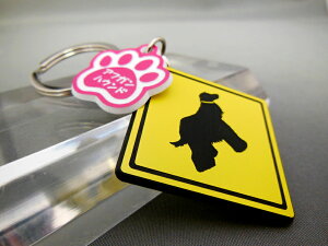 L[z_[ Aj} AtKnEh X}[gL[  DMMC