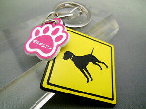 L[z_[ Aj} _VA X}[gL[  DMMC