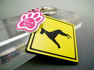 L[z_[ Aj} O[gf[ X}[gL[  DMMC