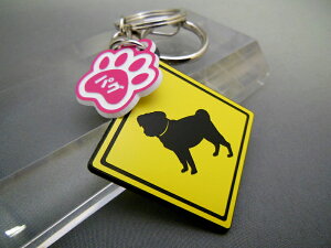 L[z_[ Aj} pO X}[gL[  DMMC