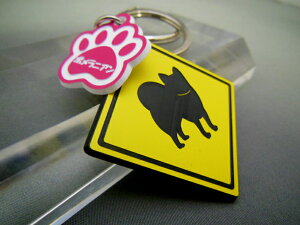 L[z_[ Aj} |jA X}[gL[  DMMC