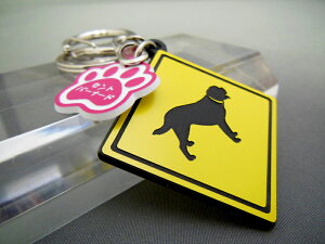 L[z_[ Aj} Zgo[i[h X}[gL[  DMMC