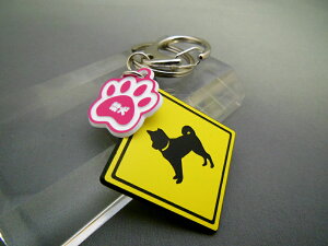 L[z_[ Aj} Č X}[gL[  DMMC