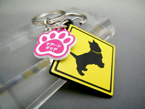 L[z_[ Aj} PA[eA X}[gL[  DMMC