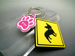 L[z_[ Aj} ` X}[gL[  DMMC