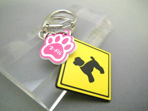 L[z_[ Aj} v[h X}[gL[  DMMC