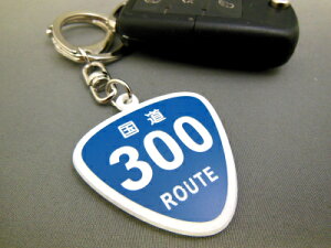  L[z_[ 300`312 [g ROUTE W X}[gL[ J[ANZT[  vw MINI vo̓