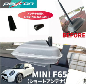 MINI~jF65 3hA42024N6`V[gAeiԋ@ ̒ԏ