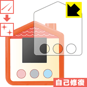 ݂R炵 ݂Rp LYȏCیtB { А