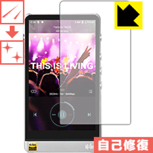 LYȏCیtB HiBy R6SS / R6 (2018Nf) (Oʂ̂) { А