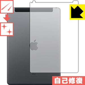 �L�Y���ȏC���ی�t�B���� iPad (��7����E2019�N�������f��) �w�ʂ̂� �y Wi-Fi + Cellular���f�� �z ���{�� ���А�������