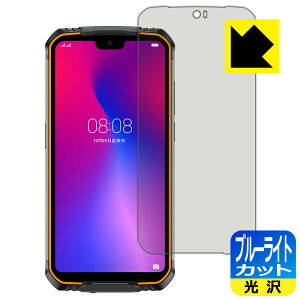 �u���[���C�g�J�b�g�y ���� �z�ی�t�B���� DOOGEE S68 Pro ���{�� ���А�������