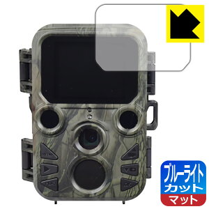 u[CgJbgy ˒ጸ zیtB ԊOlBeJE~j STR-MiNi300 { А