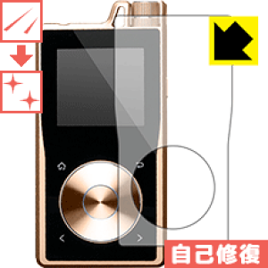 LYȏCیtB Questyle QP1R (Oʂ̂) { А