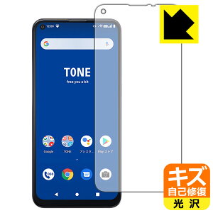 �L�Y���ȏC���ی�t�B���� TONE e21 / TONE e21 rev.2 (�O�ʂ̂�) ���{�� ���А�������