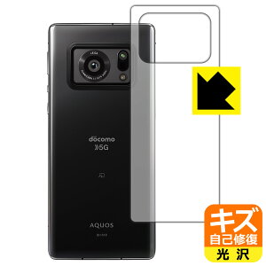 LYȏCیtB ANIX AQUOS R6 (wʂ̂) { А