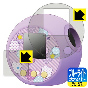 Ղɂ / Ղɂ ՂɂՂ炷 / Ղɂ ՂɂՂ炷Ղ݂ p u[CgJbgy  zیtB (ʗp/ӂp) { А