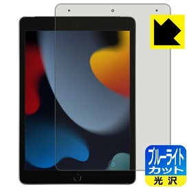 ブルーライトカット【光沢】保護フィルム iPad (第9世代・2021年発売モデル) 日本製 自社製造直販