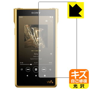 LYȏCیtB EH[N} NW-WM1ZM2/NW-WM1AM2 { А