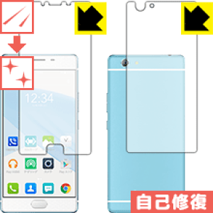 LYȏCیtB SAMURAI (REI) FTJ161B (ʃZbg) { А