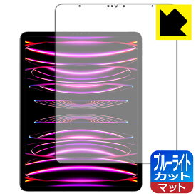 ブルーライトカット【反射低減】保護フィルム iPad Pro (12.9インチ)(第6世代・2022年発売モデル) 日本製 自社製造直販