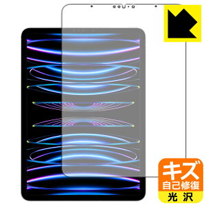 LYȏCیtB iPad Pro (11C`)(4E2022Nf) ʗp { А